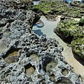 砂島.貝殼砂館