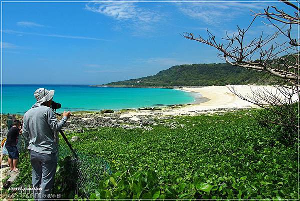 砂島.貝殼砂館