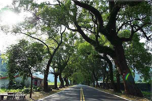 武陵綠色隧道