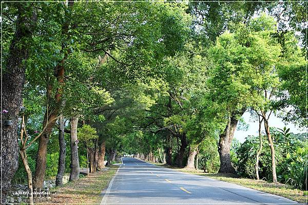 武陵綠色隧道