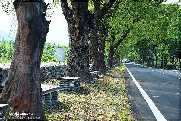 武陵綠色隧道