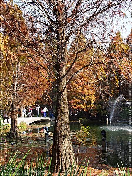 菁芳園