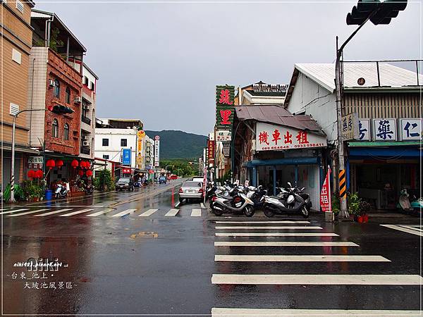 池上火車站.春一枝