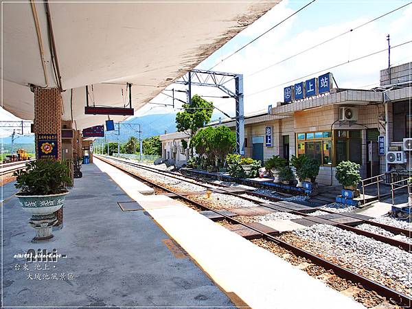 池上火車站.春一枝