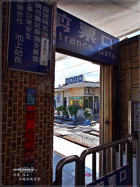 池上火車站.春一枝