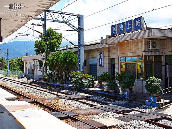 池上火車站.春一枝