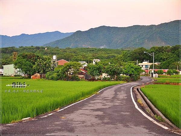 池上.伯朗大道