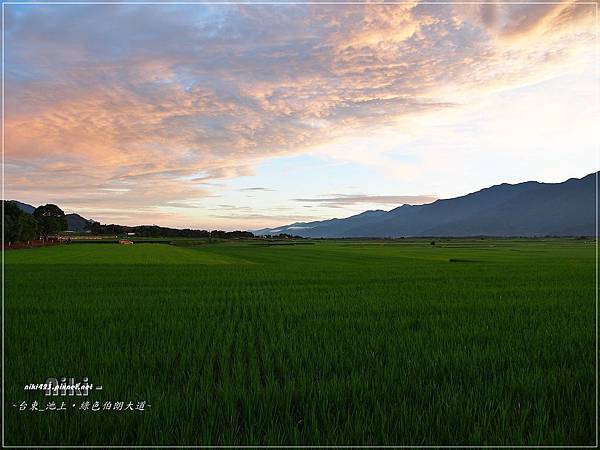 池上.伯朗大道