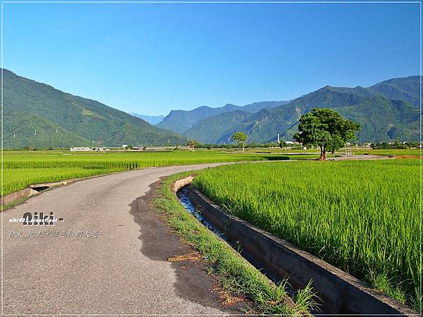 池上.伯朗大道