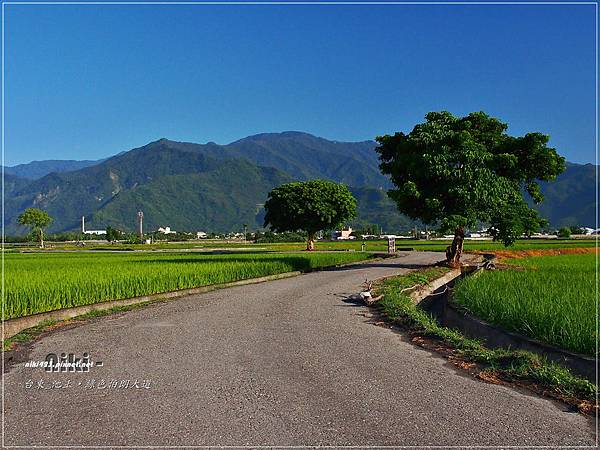 池上.伯朗大道