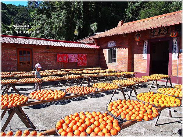 味衛佳觀光果園