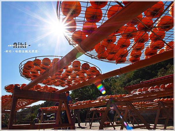 味衛佳觀光果園