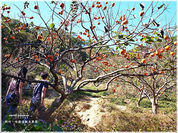 味衛佳觀光果園