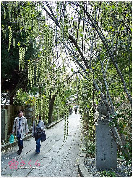 大豐神社.老鼠神社