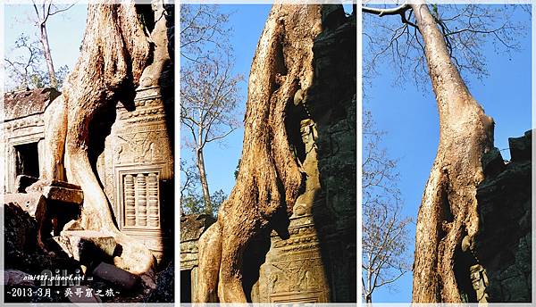 塔普倫寺Ta Prohm