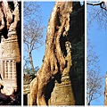 塔普倫寺Ta Prohm