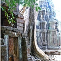 塔普倫寺Ta Prohm