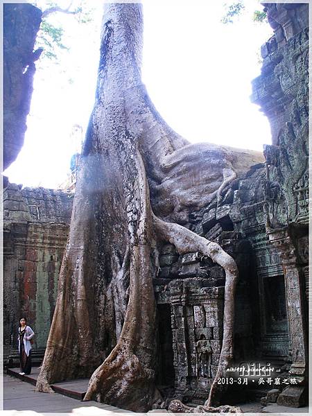 塔普倫寺Ta Prohm