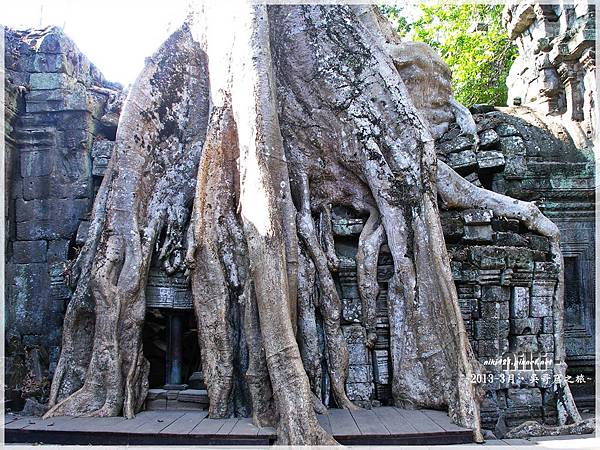 塔普倫寺Ta Prohm