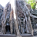 塔普倫寺Ta Prohm