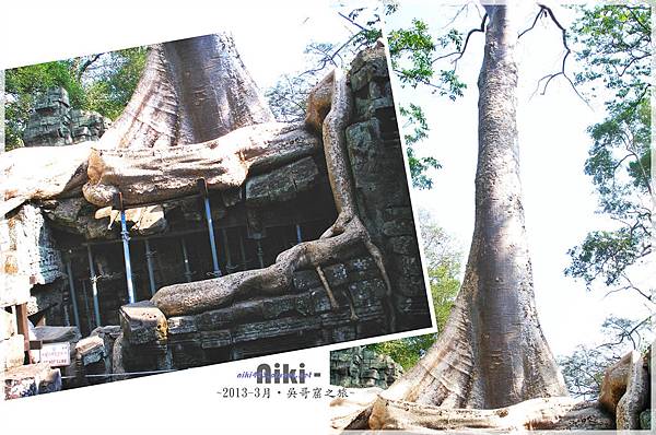 塔普倫寺Ta Prohm