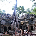 塔普倫寺Ta Prohm