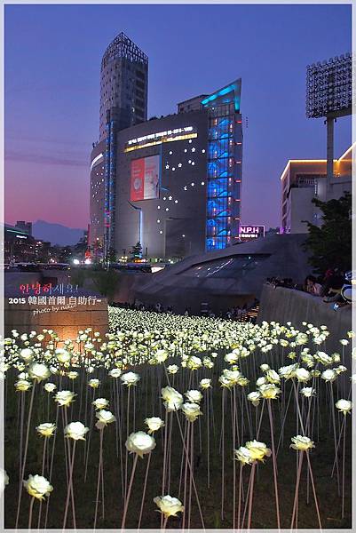 東大門LED玫瑰庭園展