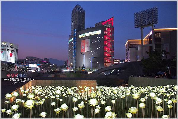 東大門LED玫瑰庭園展