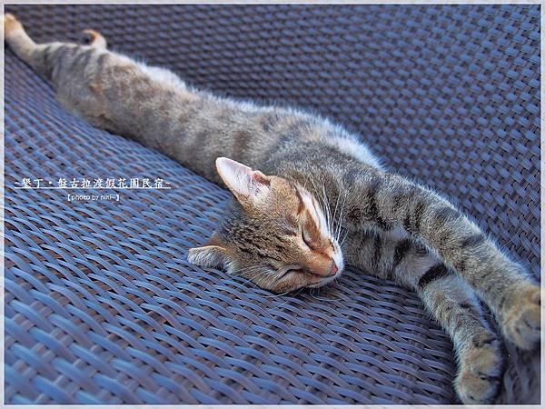 盤古拉渡假花園民宿