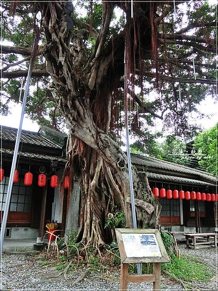 將軍府歷史建築群