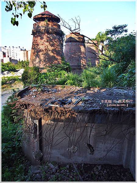 壽山_台泥石灰窯