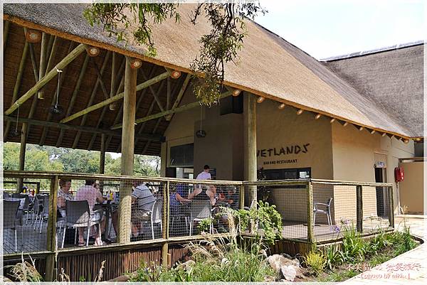 獅子園 Lion and Safari Park