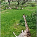 獅子園 Lion and Safari Park