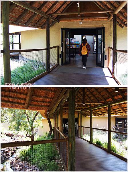 獅子園 Lion and Safari Park