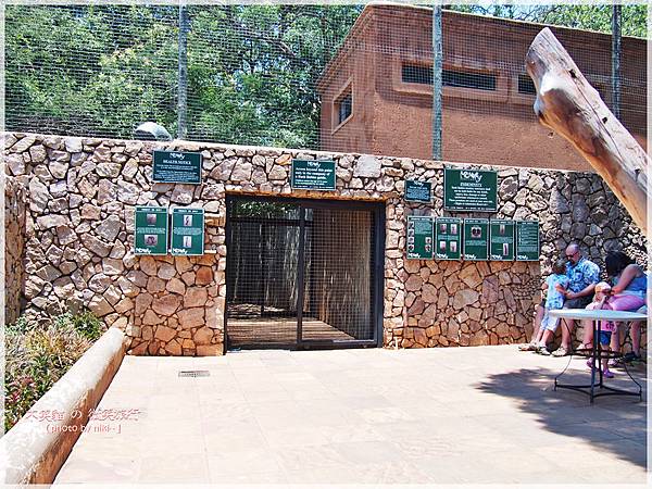 monkey sanctuary猴子保護園區