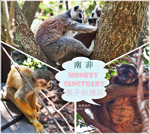 monkey sanctuary猴子保護園區