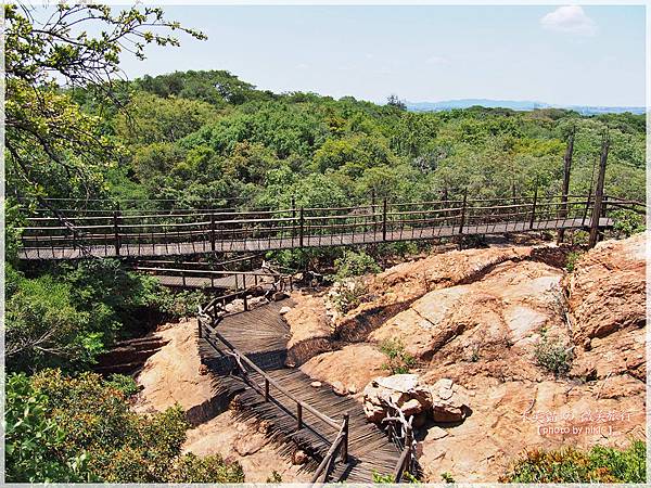 monkey sanctuary猴子保護園區