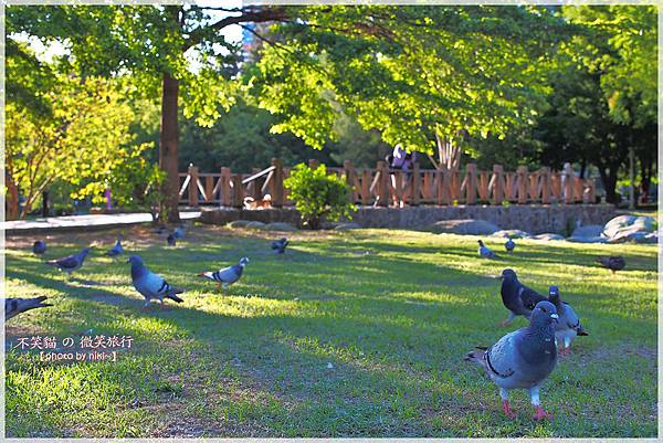 中央公園城市光廊