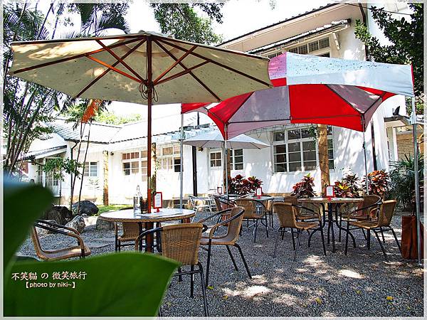 雁行 x 窩cafe 雁行 x 窩cafe