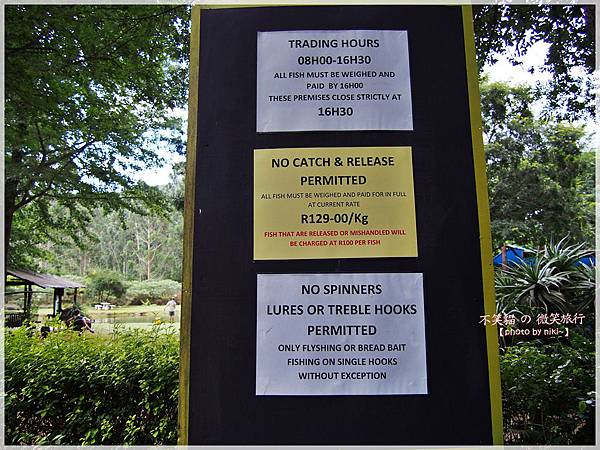 Sabie_Horseshoe trout and about