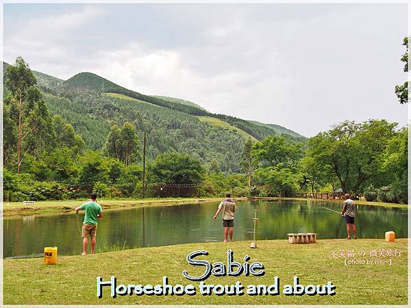 Sabie_Horseshoe trout and about