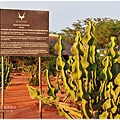 克魯格爾國家公園 Kruger National Park