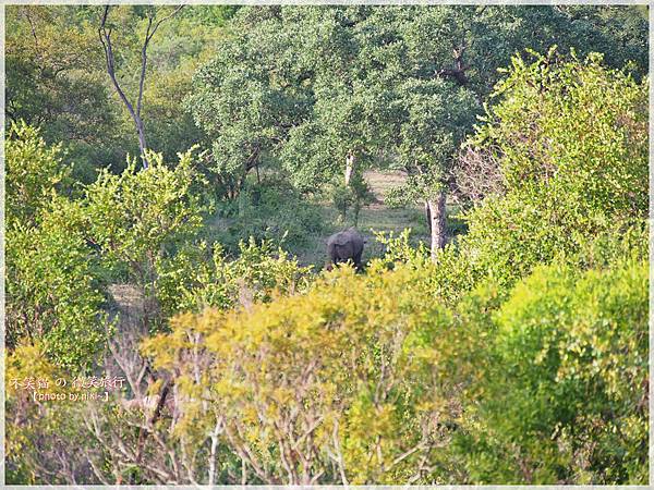 克魯格爾國家公園 Kruger National Park