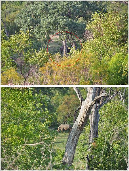 克魯格爾國家公園 Kruger National Park