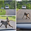 克魯格爾國家公園 Kruger National Park