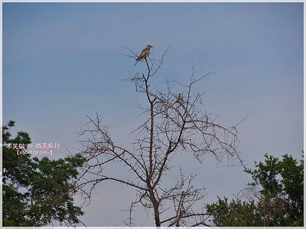 克魯格爾國家公園 Kruger National Park