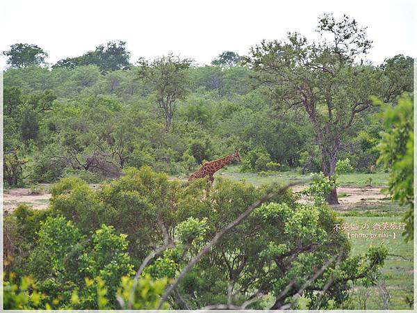 克魯格爾國家公園 Kruger National Park