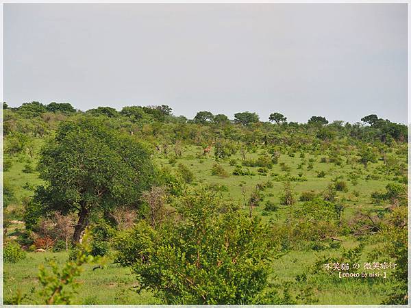 克魯格爾國家公園 Kruger National Park