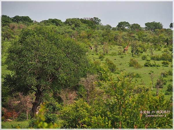 克魯格爾國家公園 Kruger National Park