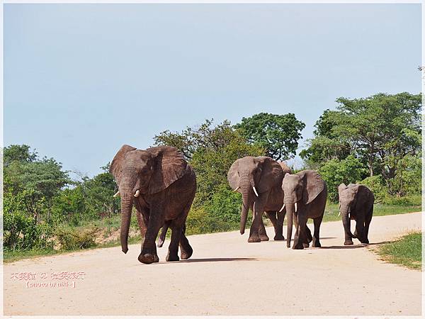 克魯格爾國家公園 Kruger National Park